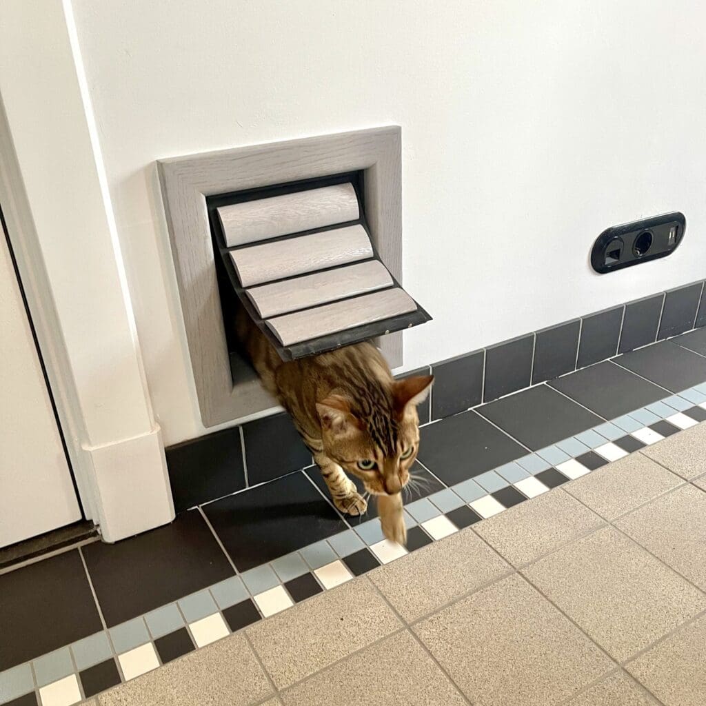 Gemiddeld hondenluik voor middelgrote honden en grote katten dat geïnstalleerd is in de deur of in glas -Tomsgates kattenluik, Tomsgates hondenluik, Kwalitatief kattenluik, Tochtvrij kattenluik, Veilig kattenluik, Stil kattenluik, Houten kattenluik