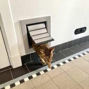 Gemiddeld hondenluik voor middelgrote honden en grote katten dat geïnstalleerd is in de deur of in glas -Tomsgates kattenluik, Tomsgates hondenluik, Kwalitatief kattenluik, Tochtvrij kattenluik, Veilig kattenluik, Stil kattenluik, Houten kattenluik